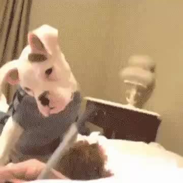 GIF Preview