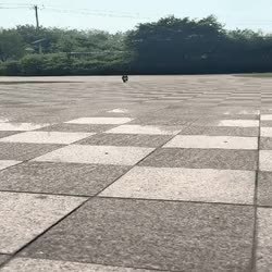 GIF Preview