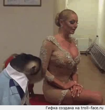 GIF Preview