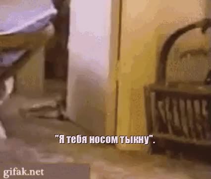 GIF Preview