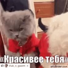 GIF Preview