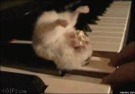 GIF Preview