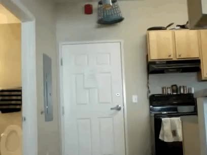 GIF Preview