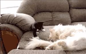 GIF Preview