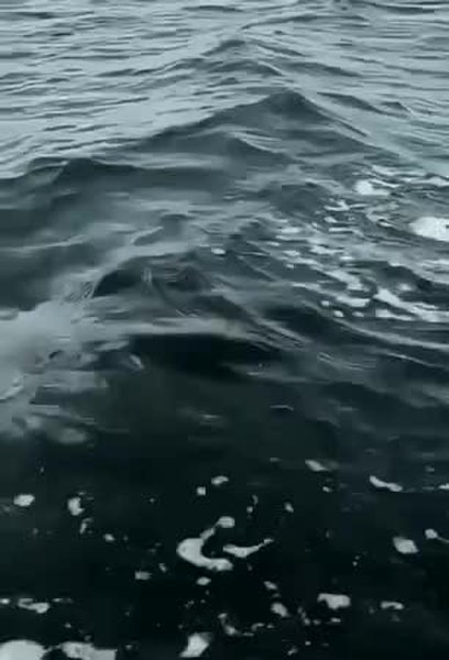 GIF Preview