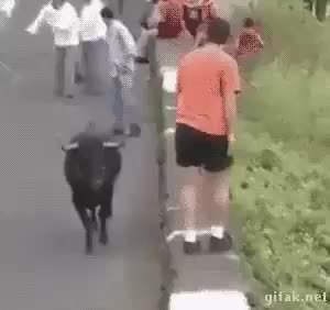 GIF Preview
