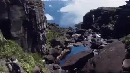GIF Preview