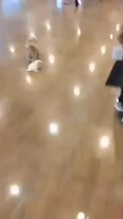 GIF Preview