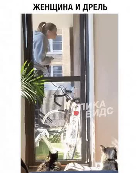 GIF Preview