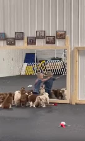 GIF Preview