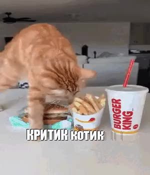 GIF Preview