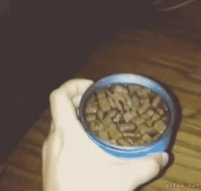 GIF Preview