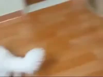 GIF Preview
