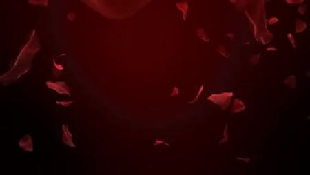 GIF Preview