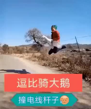 GIF Preview