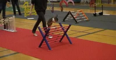 GIF Preview