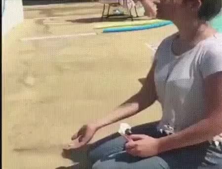 GIF Preview