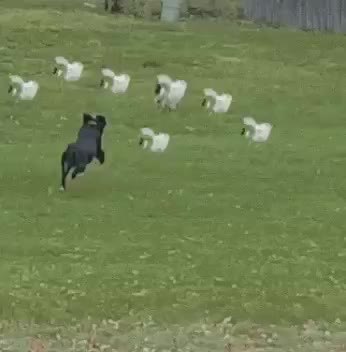 GIF Preview