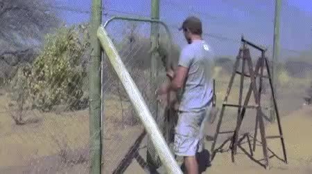 GIF Preview