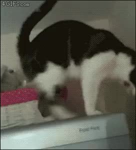 GIF Preview