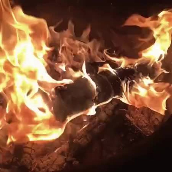 GIF Preview