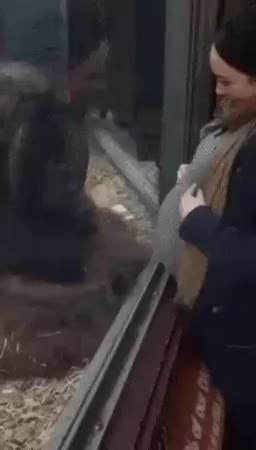 GIF Preview