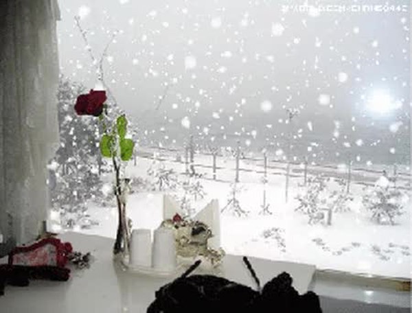 GIF Preview