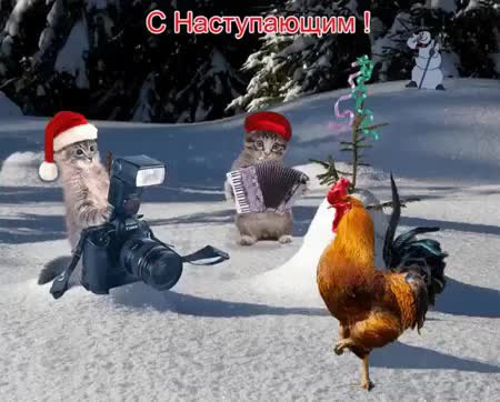 GIF Preview