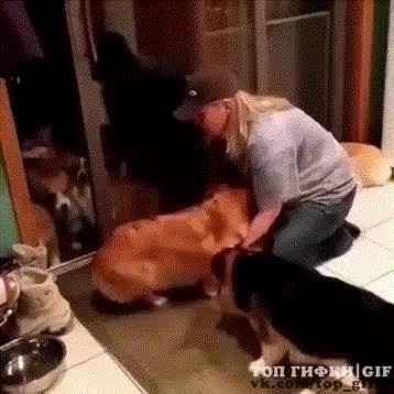 GIF Preview
