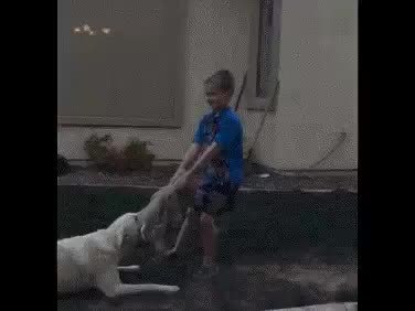 GIF Preview