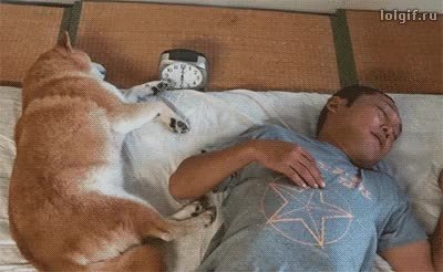 GIF Preview