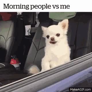 GIF Preview