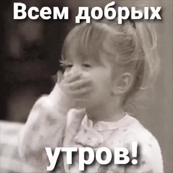 GIF Preview