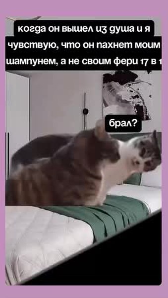 GIF Preview
