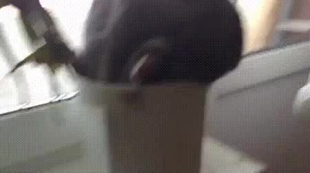 GIF Preview