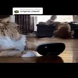 GIF Preview