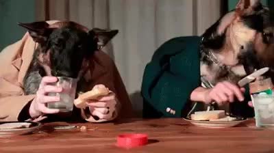GIF Preview