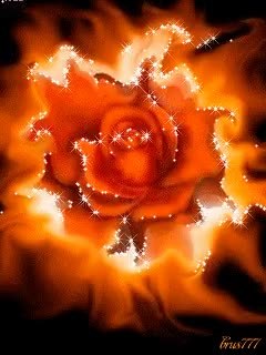 GIF Preview