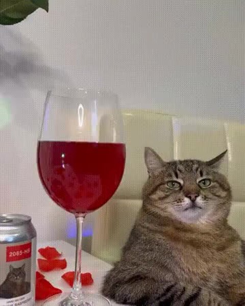 GIF Preview