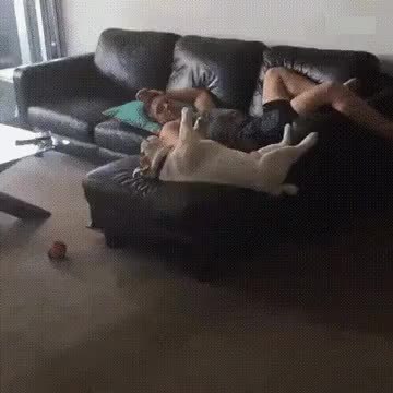 GIF Preview