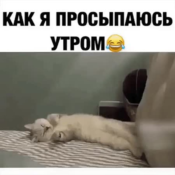 GIF Preview
