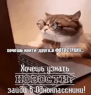 GIF Preview
