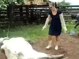 GIF Preview