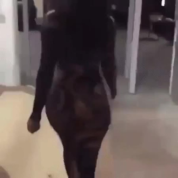 GIF Preview