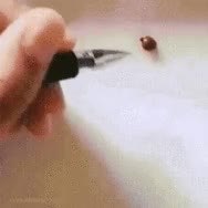 GIF Preview