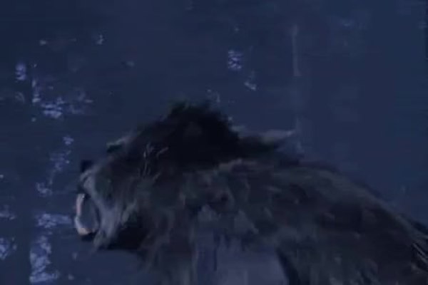 GIF Preview