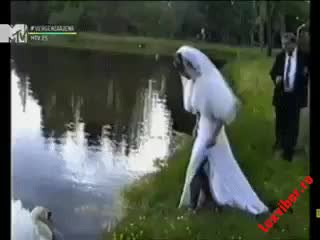 GIF Preview