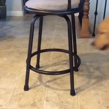 GIF Preview