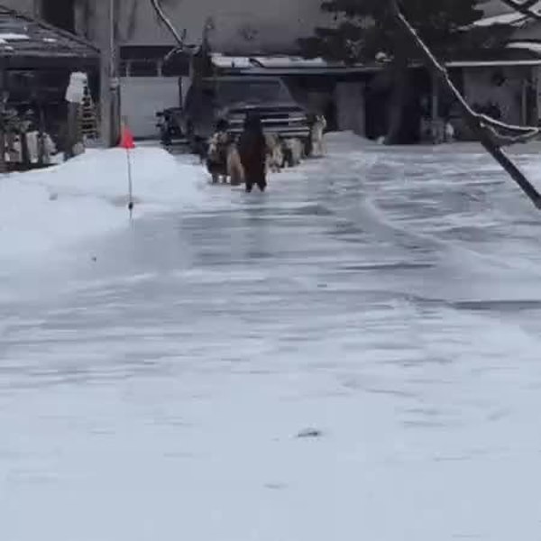 GIF Preview
