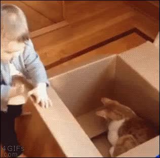GIF Preview
